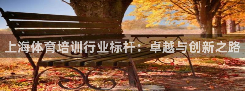 焦点娱乐跨服：上海体育培训行业标杆：卓越与创新之路