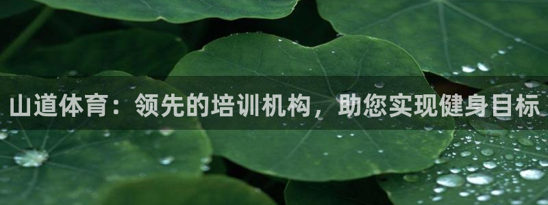 焦点娱乐总代理在哪：山道体育：领先的培训机构，助您实