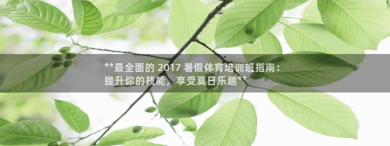 焦点娱乐怎么找客服：**最全面的 2017 暑假体育