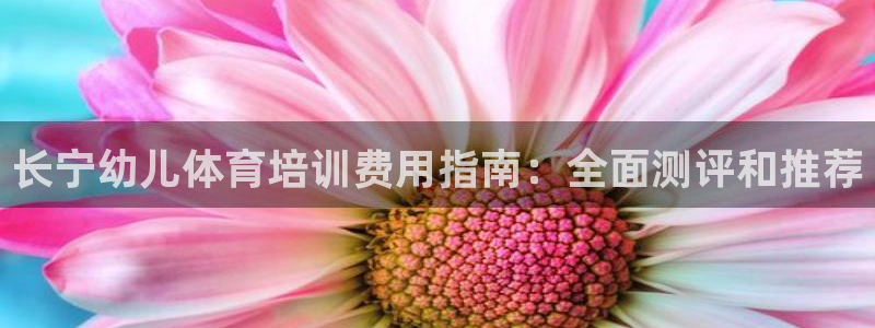 焦点娱乐门徒娱乐骗局视频