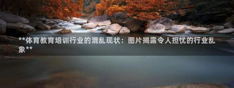 焦点娱乐如何注册账号的：**体育教育培训行业的混乱现