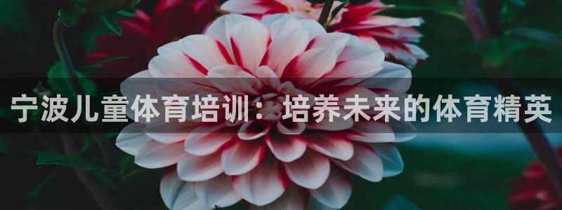 焦点娱乐官方网站入口：宁波儿童体育培训：培养未来的体