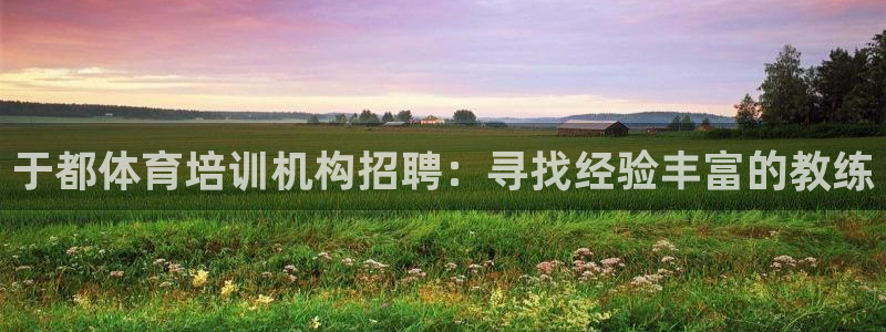 焦点娱乐拉菲11：于都体育培训机构招聘：寻找经验丰富