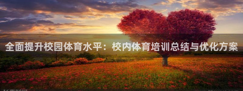 焦点娱乐星：全面提升校园体育水平：校内体育培训总结与
