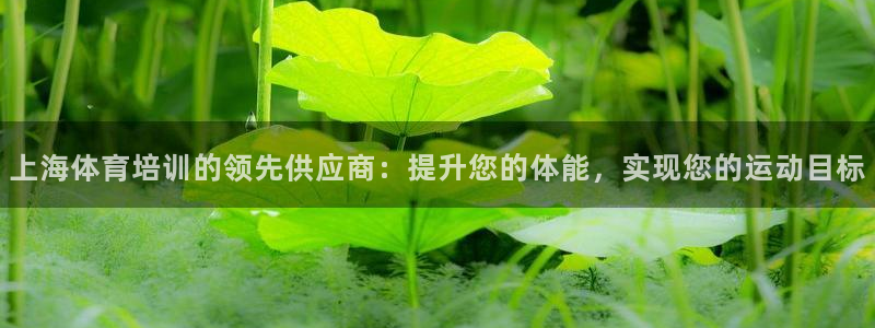焦点娱乐官网下载安装最新版苹果：上海体育培训的领先供