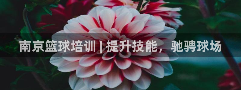 焦点娱乐平台果7O777：南京篮球培训 | 提升技能