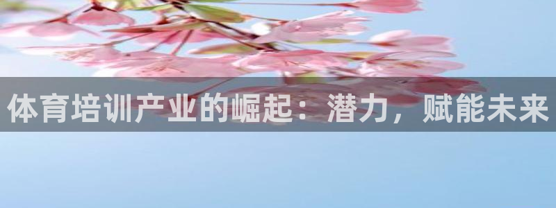 焦点娱乐什么意思