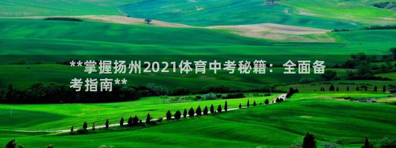 焦点娱乐拉菲11月11日