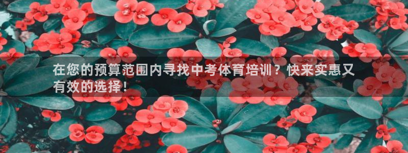 焦点娱乐平台西7O777：在您的预算范围内寻找中考体