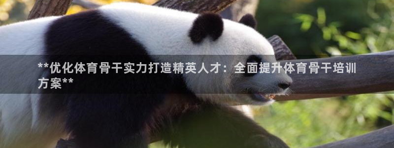 焦点娱乐ktv：**优化体育骨干实力打造精英人才：全