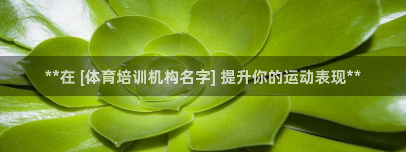 焦点娱乐官方网站首页：**在 [体育培训机构名字] 