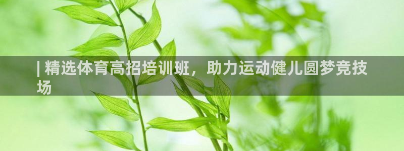 焦点娱乐平台客服电话