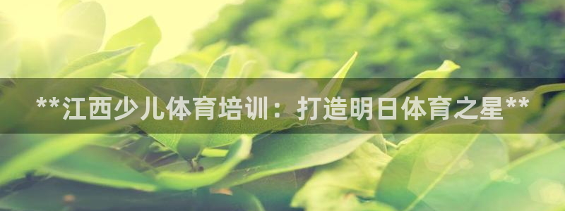 焦点娱乐公司：**江西少儿体育培训：打造明日体育之星
