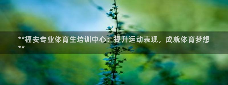 焦点娱乐股东持股比例：**福安专业体育生培训中心：提
