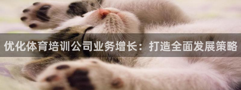 焦点娱乐平台是正规的吗安全吗：优化体育培训公司业务增