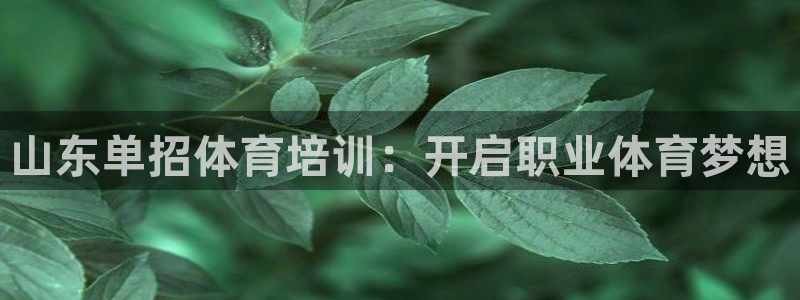 焦点娱乐是哪个公司的软件：山东单招体育培训：开启职业