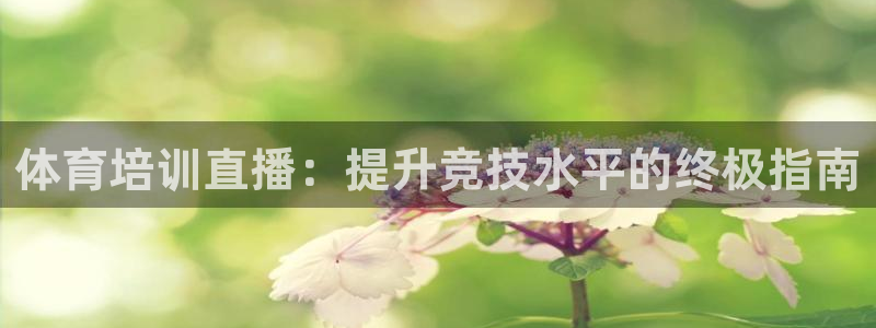 焦点娱乐如何注册账号：体育培训直播：提升竞技水平的终