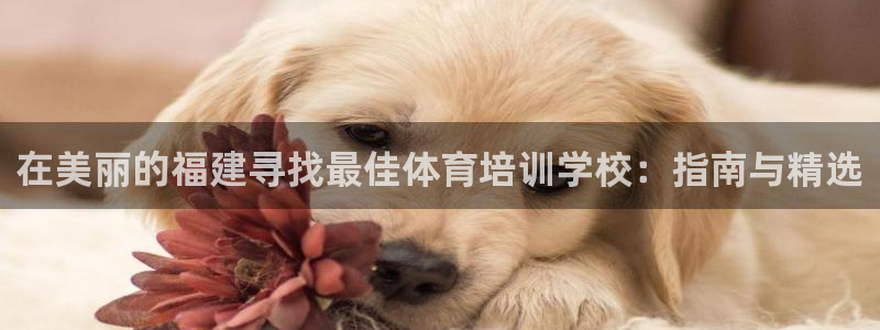 焦点娱乐总代理是谁：在美丽的福建寻找最佳体育培训学校