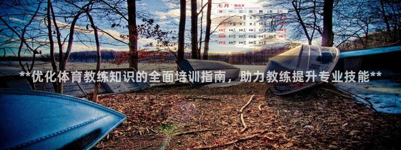 焦点娱乐是哪个公司的产品：**优化体育教练知识的全面