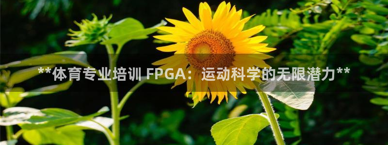 焦点娱乐平台客服电话号码：**体育专业培训 FPGA