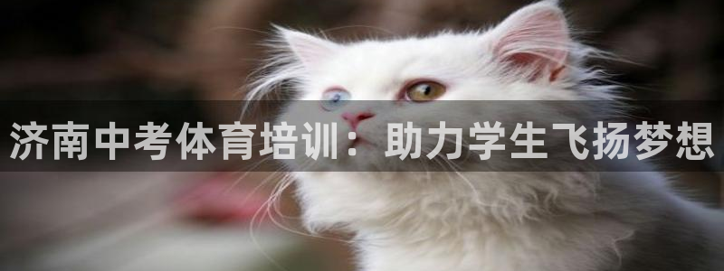 焦点娱乐下载手机版最新版：济南中考体育培训：助力学生