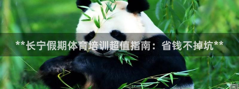 焦点娱乐官方网站入口下载：**长宁假期体育培训超值指