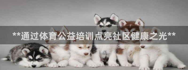 焦点娱乐官方网站下载安装苹果：**通过体育公益培训点