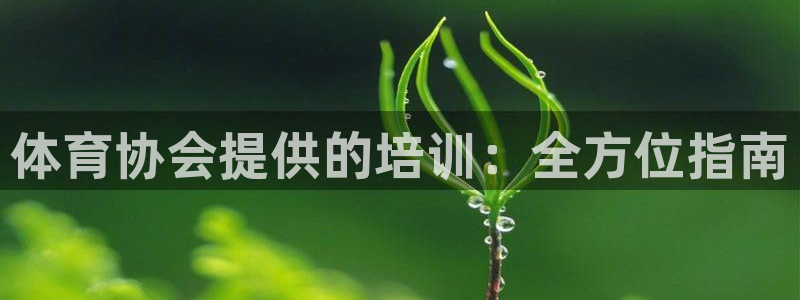 焦点娱乐官网首页：体育协会提供的培训：全方位指南