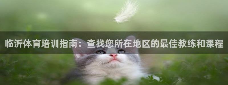 焦点娱乐平台讲7O777：临沂体育培训指南：查找您所