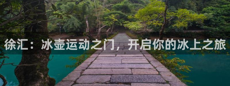 焦点娱乐开发：徐汇：冰壶运动之门，开启你的冰上之旅