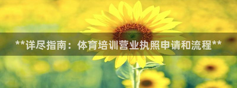 焦点娱乐app下载官网：**详尽指南：体育培训营业执
