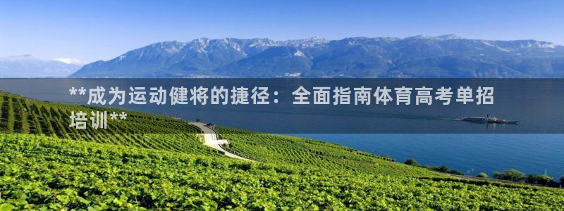 焦点娱乐拉菲11：**成为运动健将的捷径：全面指南体