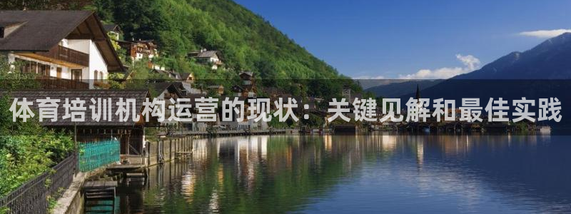 焦点娱乐app下载官网苹果手机：体育培训机构运营的现