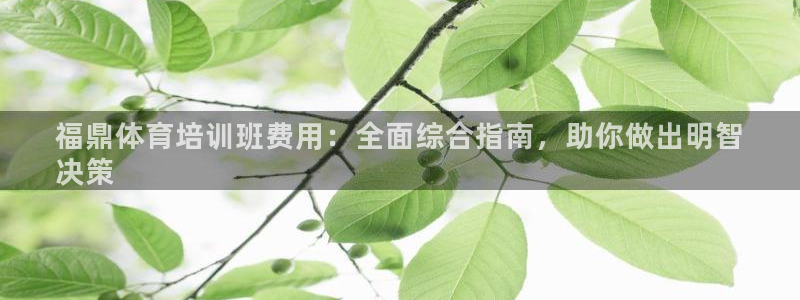 焦点娱乐官网首页：福鼎体育培训班费用：全面综合指南，