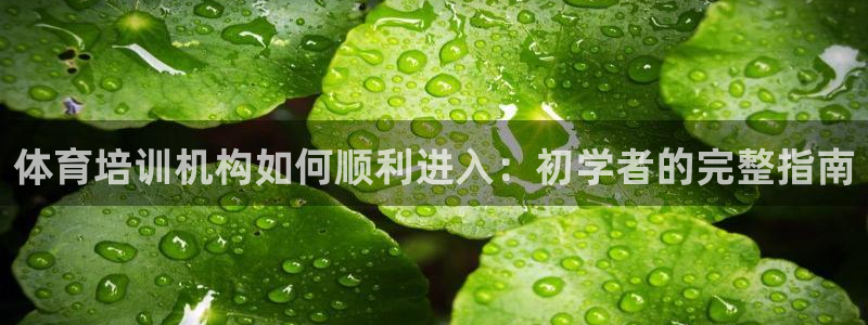 焦点娱乐app下载官网苹果手机：体育培训机构如何顺利