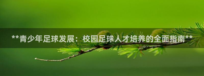 焦点娱乐网站下载地址在哪：**青少年足球发展：校园足