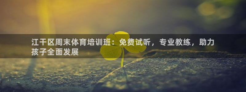 焦点娱乐公司简介图片：江干区周末体育培训班：免费试听