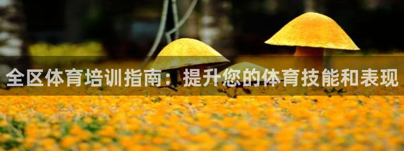 焦点娱乐官方网站入口在线观看视频：全区体育培训指南：