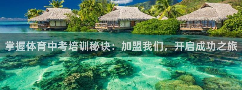焦点娱乐app下载安装方式最新：掌握体育中考培训秘诀