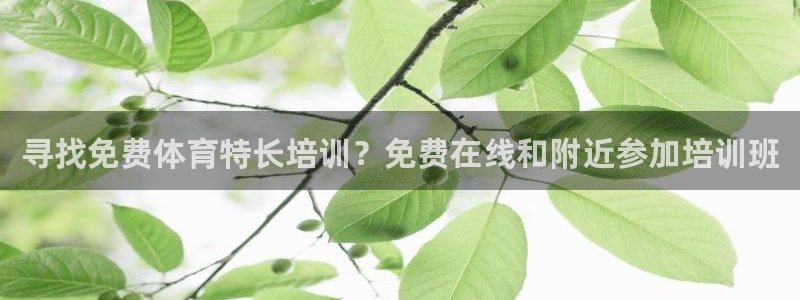 焦点娱乐平台注册账号安全吗：寻找免费体育特长培训？免