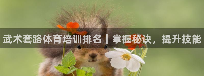 焦点娱乐下载手机版安装：武术套路体育培训排名｜掌握秘