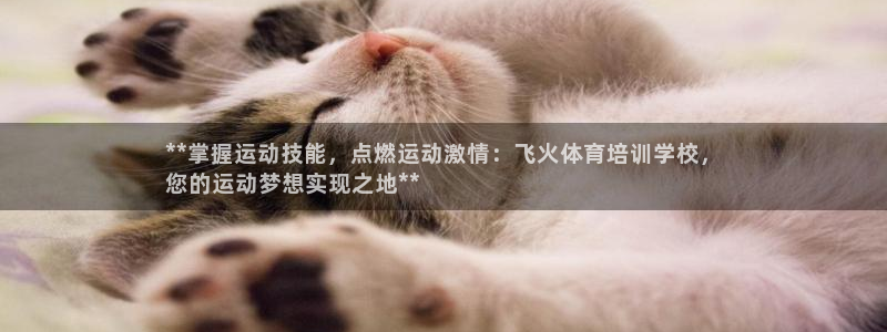 焦点娱乐平台供7O777：**掌握运动技能，点燃运动