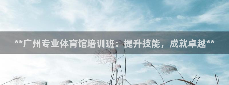 焦点娱乐负责人：**广州专业体育馆培训班：提升技能，