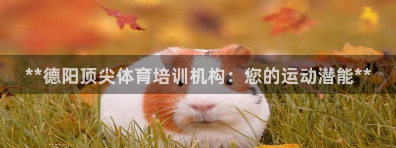 焦点娱乐网站下载地址大全：**德阳顶尖体育培训机构：