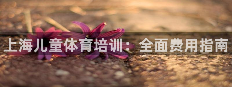 焦点娱乐ktv：上海儿童体育培训：全面费用指南