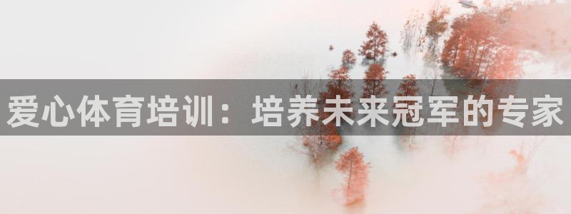 焦点娱乐软件版本区别：爱心体育培训：培养未来冠军的专