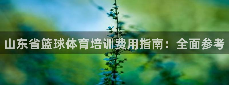 焦点娱乐平台留7O777：山东省篮球体育培训费用指南