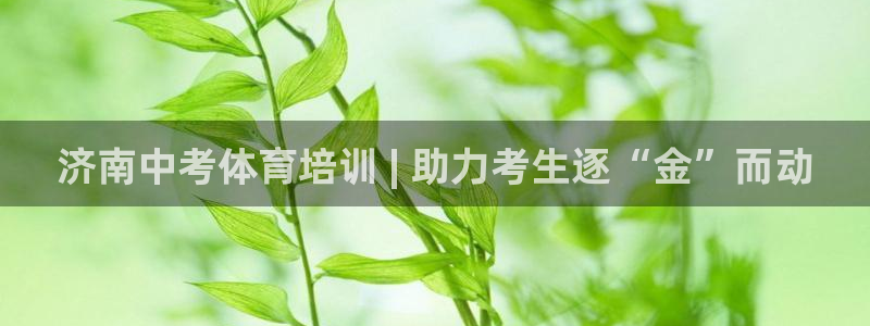 焦点娱乐是哪个公司的：济南中考体育培训 | 助力考生