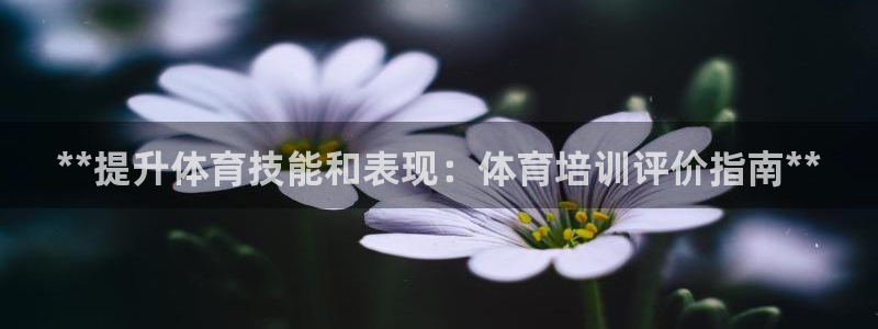焦点娱乐拉菲：**提升体育技能和表现：体育培训评价指