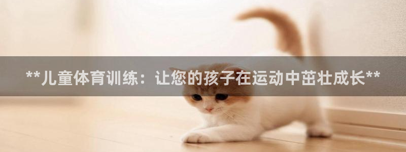 焦点娱乐公司是干嘛的：**儿童体育训练：让您的孩子在